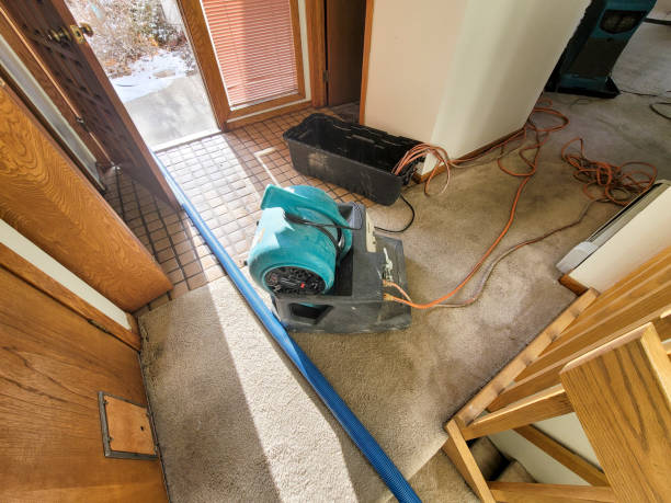 Best Sewage cleanup and water damage restoration  in Lone Grove, OK