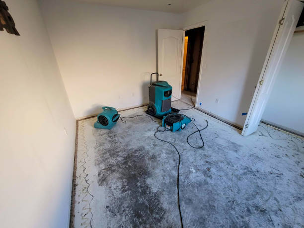 Best Basement water damage restoration  in Lone Grove, OK