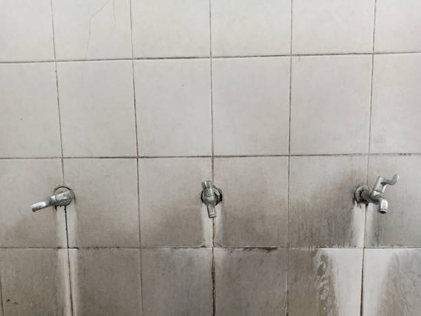 Best Water damage cleanup near me  in Lone Grove, OK