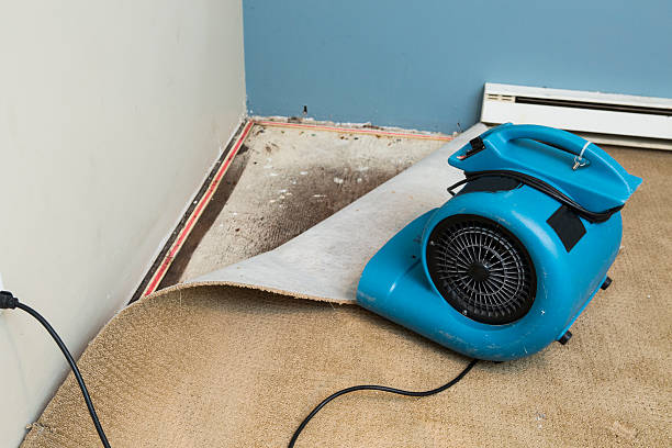 Local water damage restoration in Lone Grove, OK
